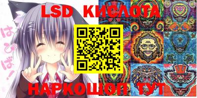 прущие крисы Аргун