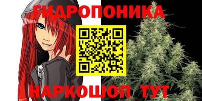 прущие крисы Аргун