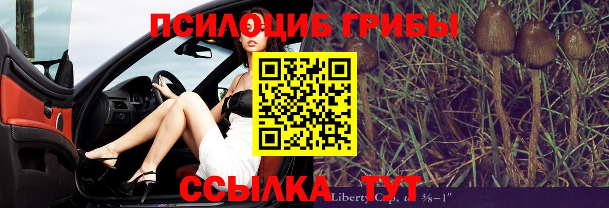 Балахна  Псилоцибиновые грибы Cubensis  Псилоцибиновые грибы Cubensis  Вход с VPN 